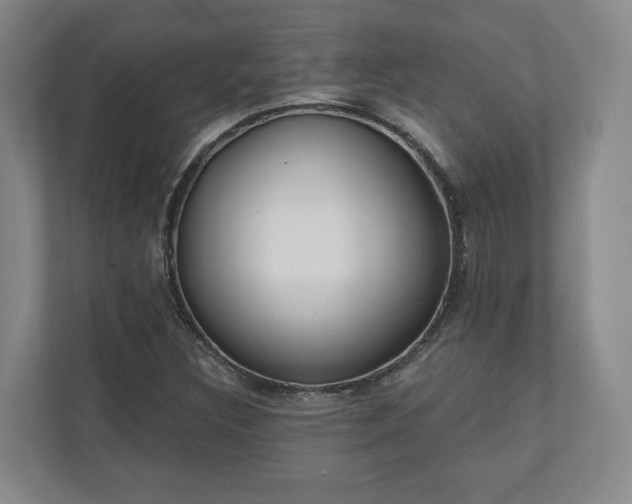 X0000110741308200906221020