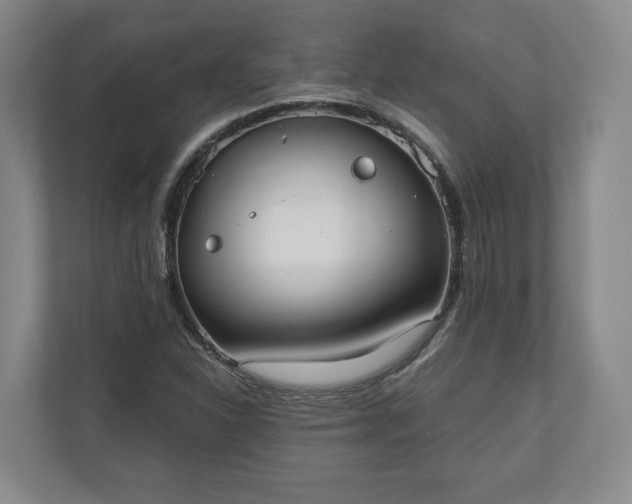 X0000110741310200906221021