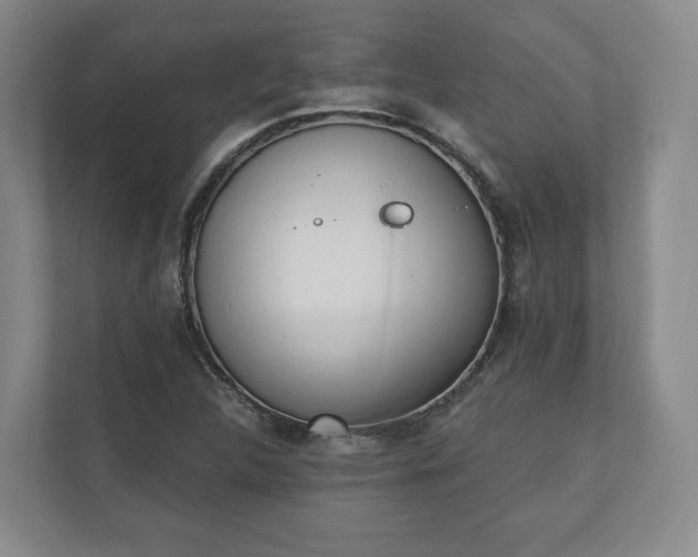 X0000110741312200906221021