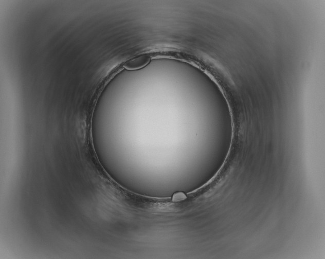 X0000110741313200906221021