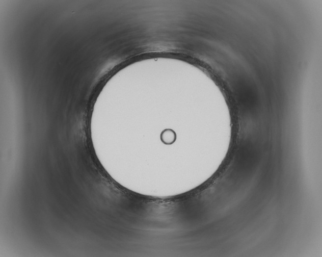 X0000110741314200906221021