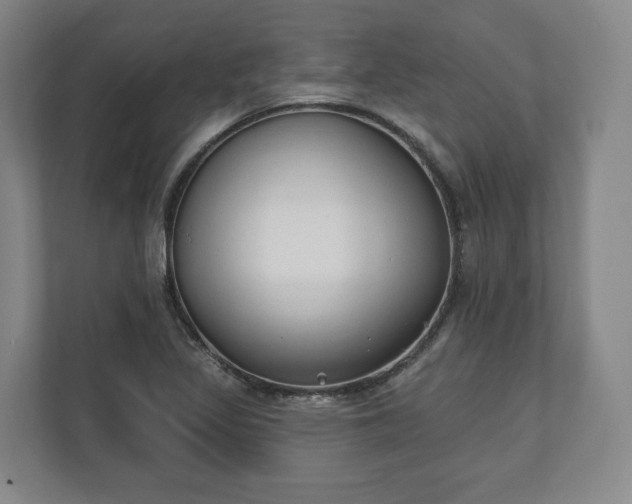 X0000110741317200906221021
