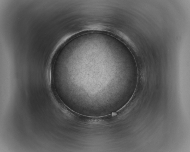 X0000110741323200906221021