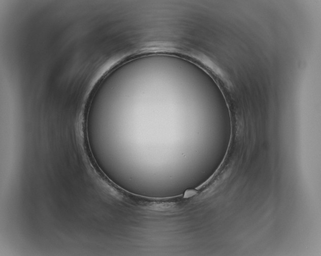 X0000110741325200906221021