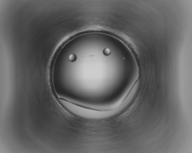 X0000110741326200906221021