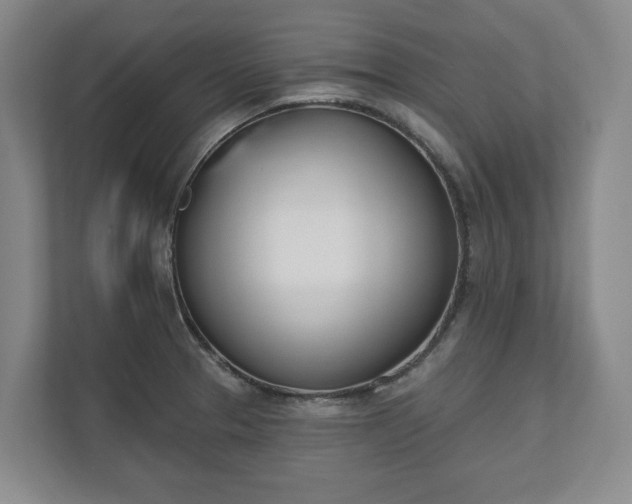 X0000110741329200906221021