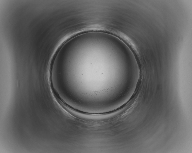 X0000110741334200906221021
