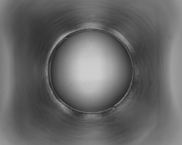 X0000110741339200906221021