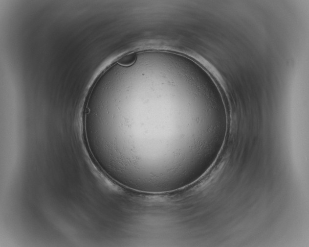 X0000110741341200906221021