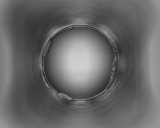 X0000110741342200906221021