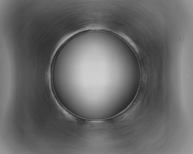 X0000110741343200906221021