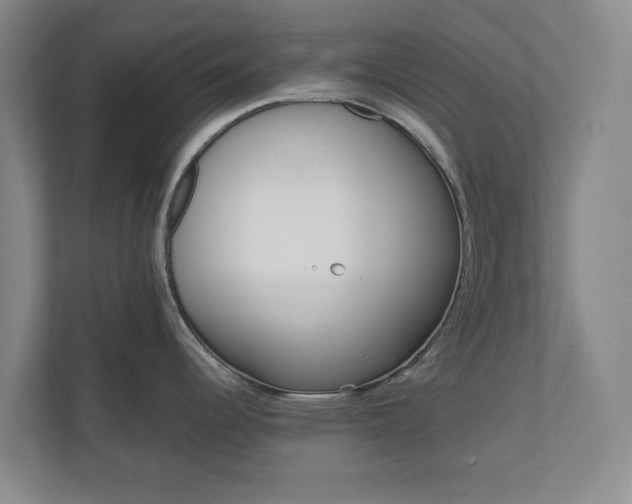 X0000110741344200906221021