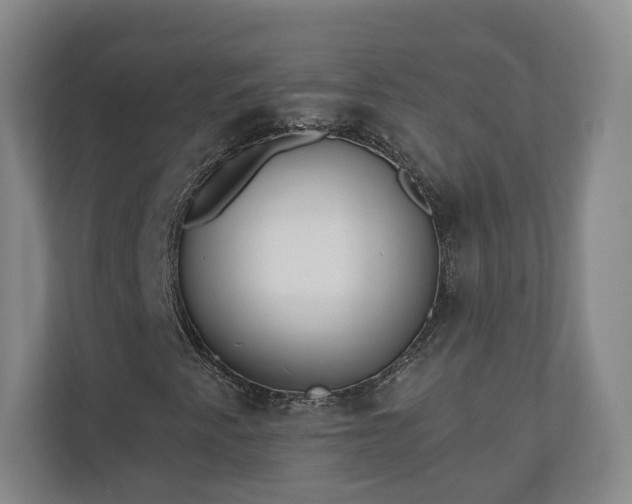 X0000110741345200906221020