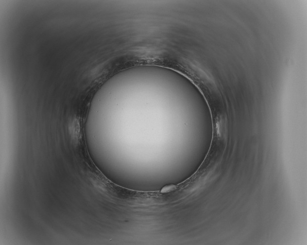 X0000110741347200906221020