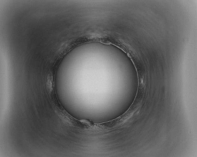 X0000110741348200906221020