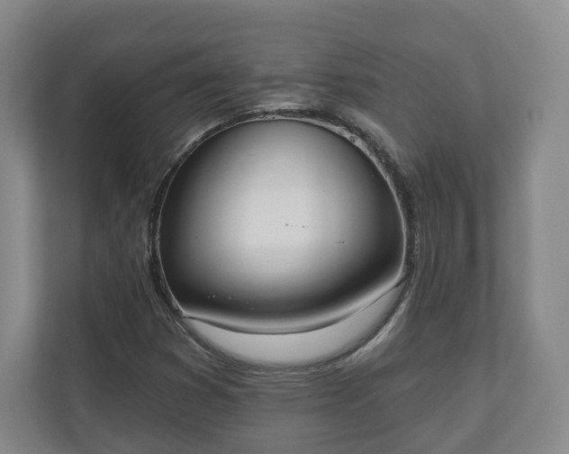 X0000110741353200906221020