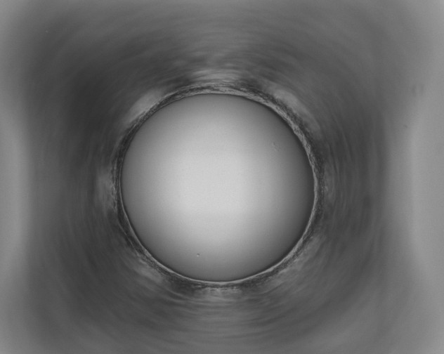 X0000110741354200906221020