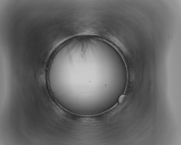 X0000110741356200906221020