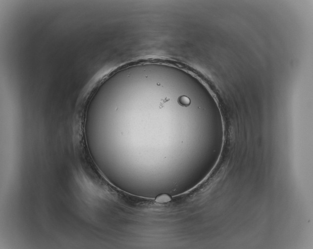 X0000110741359200906221020
