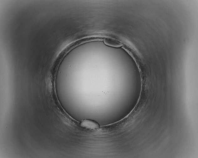 X0000110741360200906221020