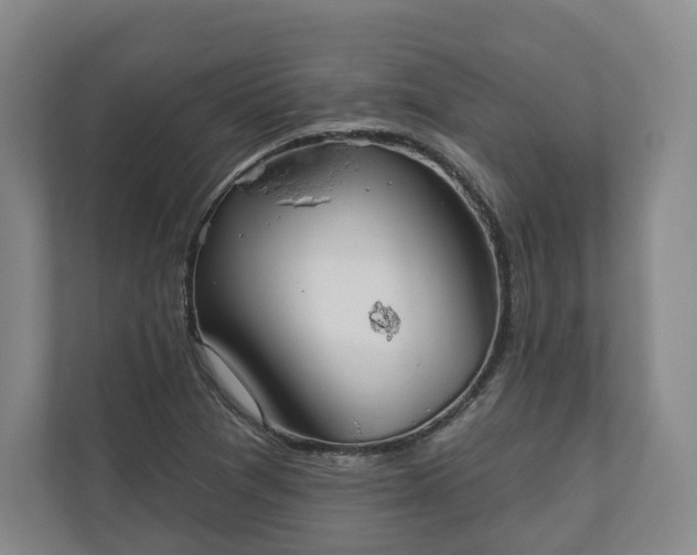X0000110741361200906221020