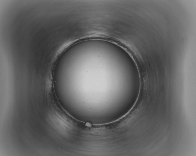X0000110741363200906221020