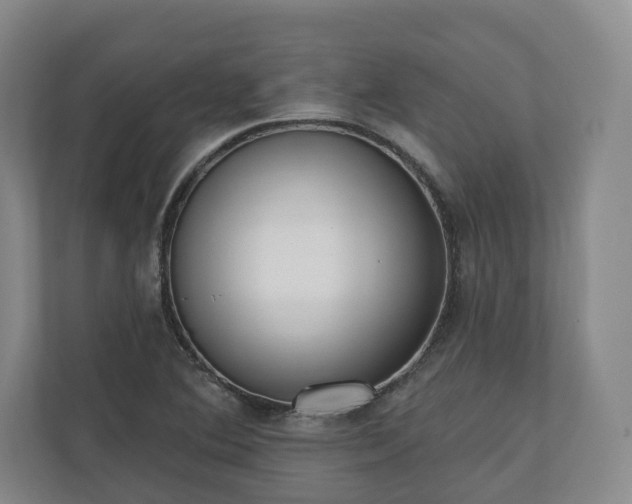 X0000110741364200906221020
