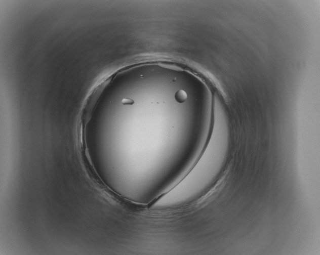 X0000110741365200906221020