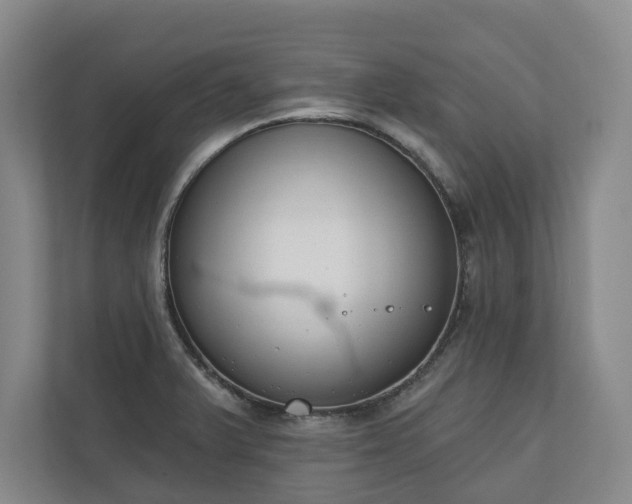 X0000110741375200906221020