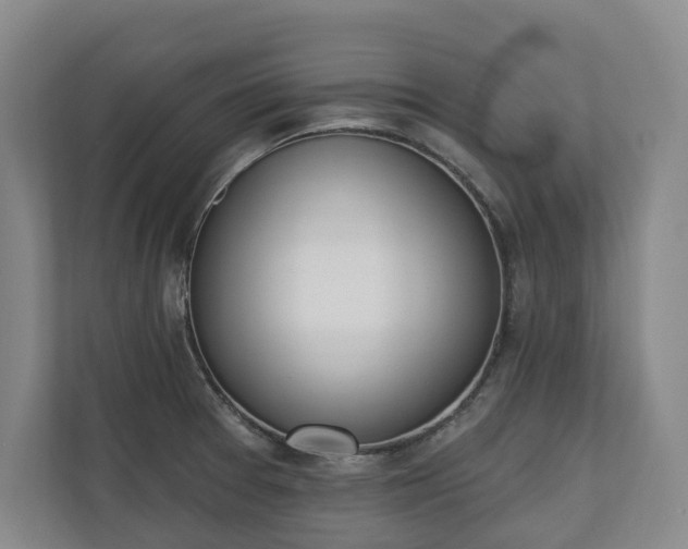 X0000110741377200906221020