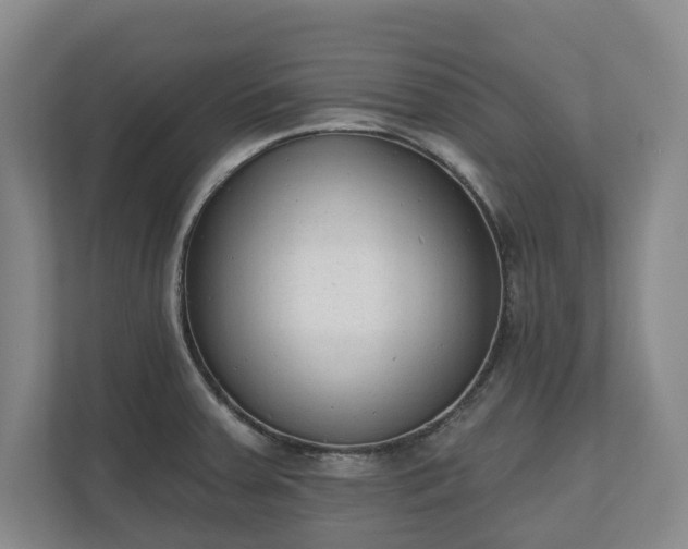 X0000110741379200906221020