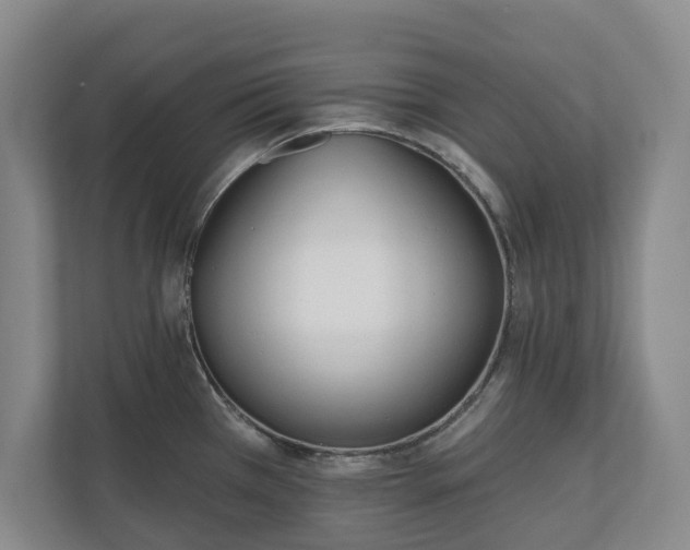 X0000110741385200906221020