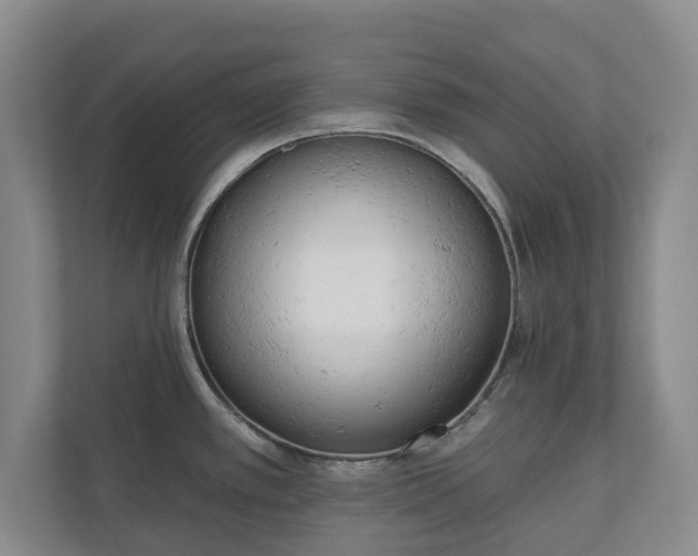 X0000110741389200906221020