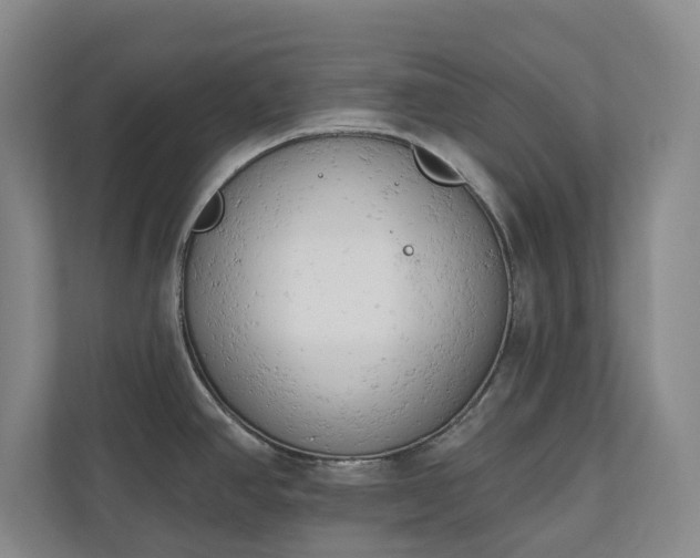 X0000110741390200906221020