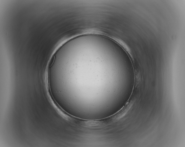 X0000110741391200906221020