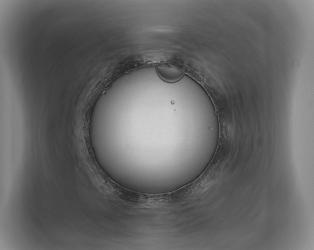 X0000110741393200906221019