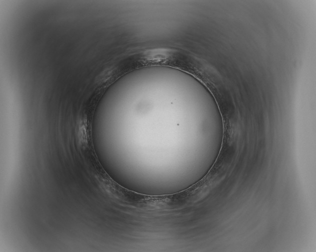 X0000110741394200906221019