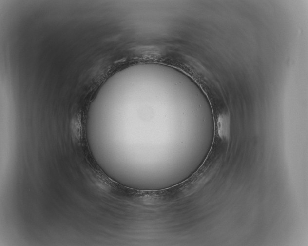 X0000110741395200906221019