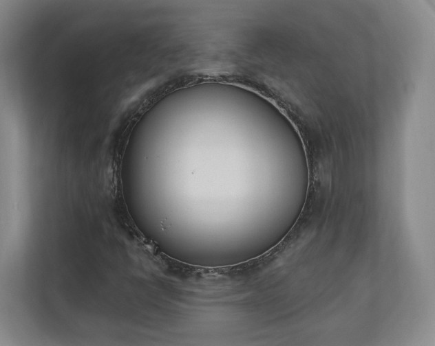 X0000110741398200906221019