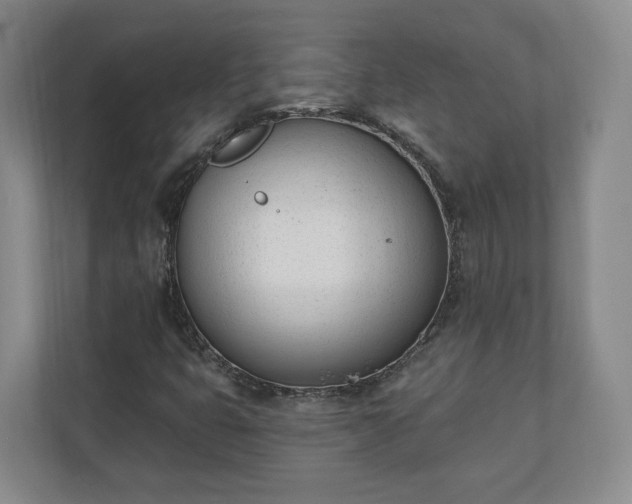 X0000110741399200906221019