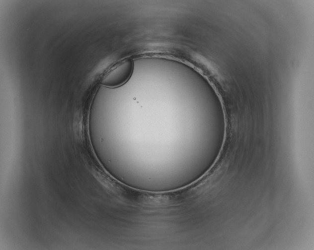 X0000110741403200906221019