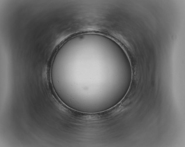 X0000110741404200906221019