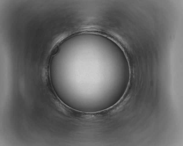 X0000110741405200906221019