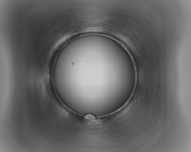 X0000110741406200906221019