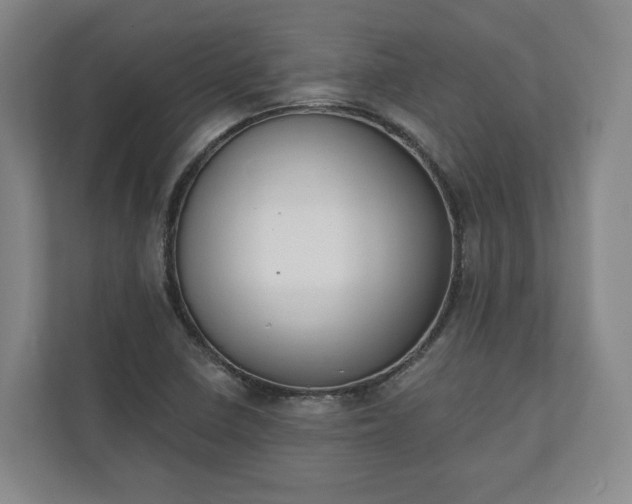 X0000110741410200906221019