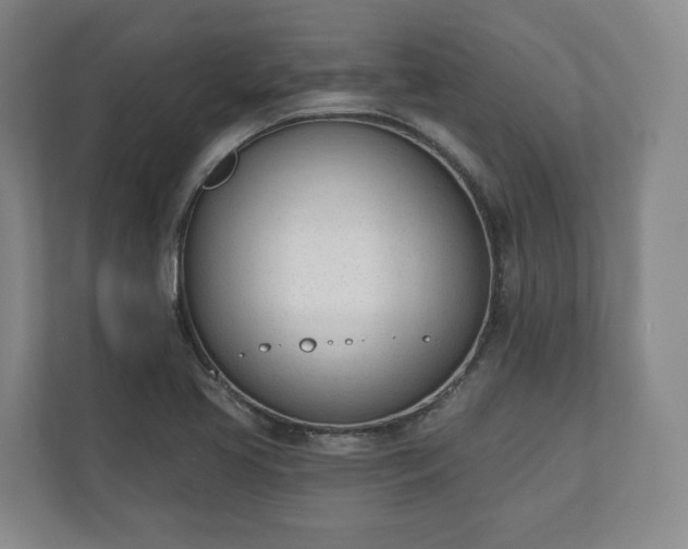 X0000110741413200906221019