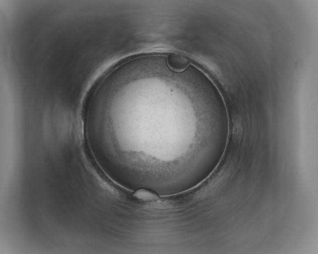 X0000110741414200906221019