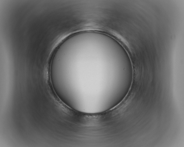 X0000110741415200906221019