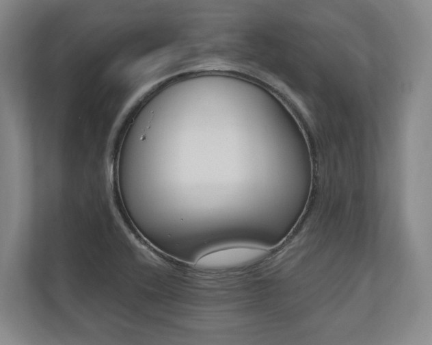 X0000110741416200906221019