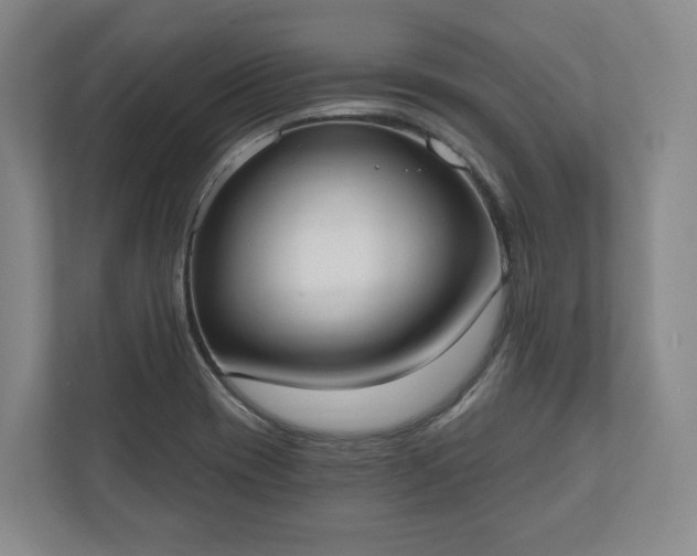 X0000110741417200906221019